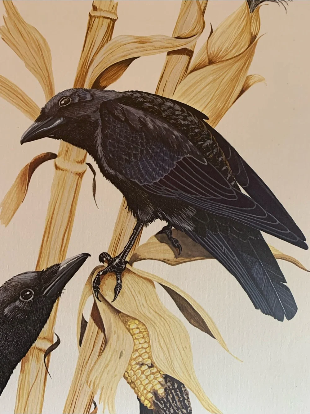 Vintage Gene Gray Limited Edition Print Black Crow Wall Art Print 1978 Nature